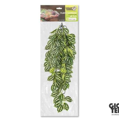 Giganterra Large Artificial Hanging Pilea