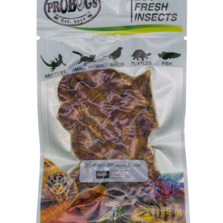 ProBugs Eco Fresh Silkworm Pupae