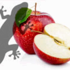 Pets2Wholesale Gecko Diet - Awesome Apple