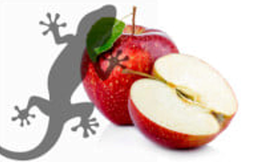 Reptile Supplies Gecko Diet - Awesome Apple 60g