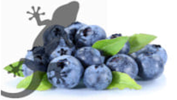 Pets2Wholesale Gecko Diet - Blackberry Burst