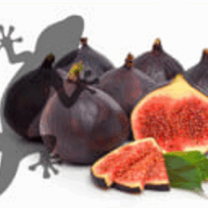 Pets2Wholesale Gecko Diet - Fantastic Fig