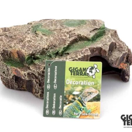 Giganterra Medium Forest Cave