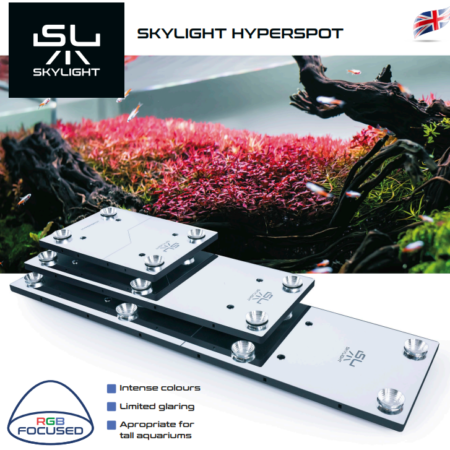 SkyLight Hyperspot