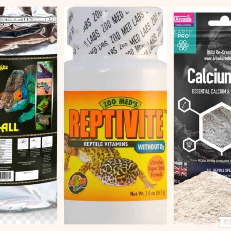 Chameleon Supplement Pack