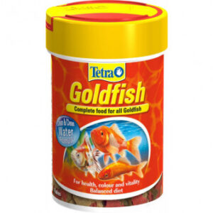 Tetra Goldfish
