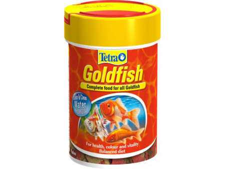 Tetra Goldfish