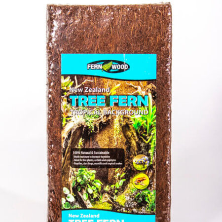 Fernwood Tree Fern Medium Panels 18x6inch Twin Pack