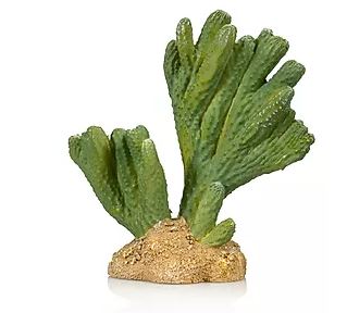 Giganterra Artificial Cactus 3