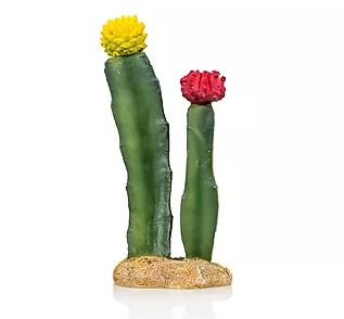 Giganterra Artificial Cactus 6