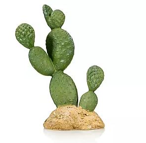 Giganterra Artificial Cactus 7