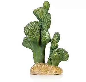 Giganterra Artificial Cactus 8