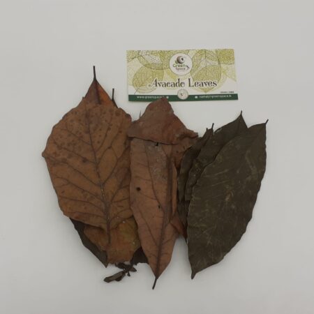 Avacado Leaves