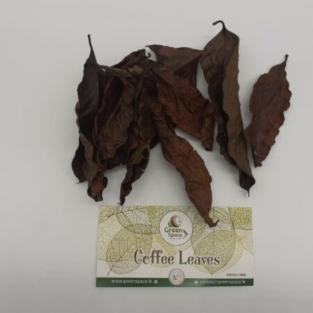 Coffee Leaves