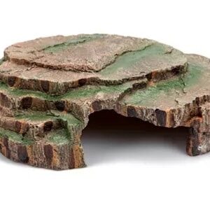 Giganterra X-Large Forest Cave