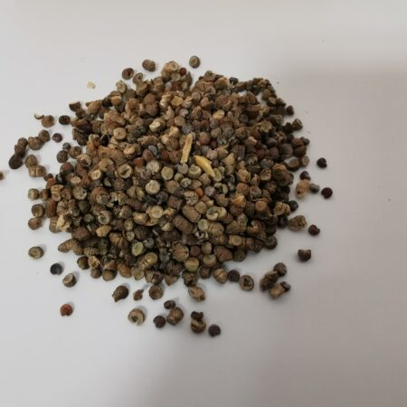 Common Mallow Seeds 3g