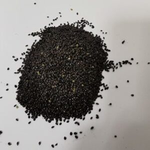 Forget Me Not Seeds 5g