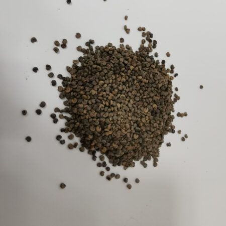 Musk Mallow Seeds 5g